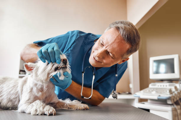  Laredo, TX Emergency Dentist Pros